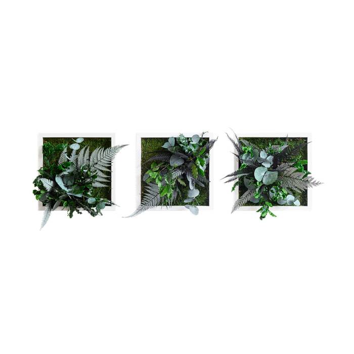 Pflanzenbilder 3er Set Pflanzenbilder im Dschungeldesign 22 x 22 cm