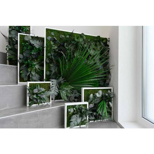 Pflanzenbilder "3er Set Pflanzenbilder im Dschungeldesign 22 x 22 cm"