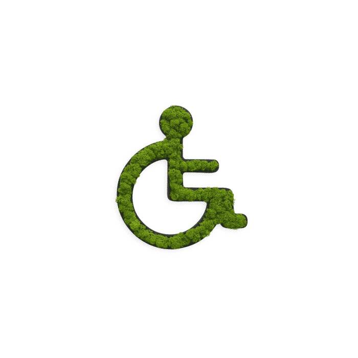 Piktogramm Toiletten-Schild Rollstuhl 25 cm
