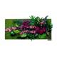 Pflanzenbild "Dschungeldesign mit roten Highlightpflanzen 57 x 27 cm"